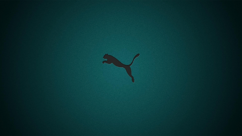 Capa do projeto PUMA — História da Marca